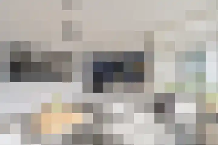Damstraat 30 Spijkenisse thumbnail 14