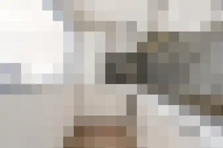 Damstraat 30 Spijkenisse thumbnail 17