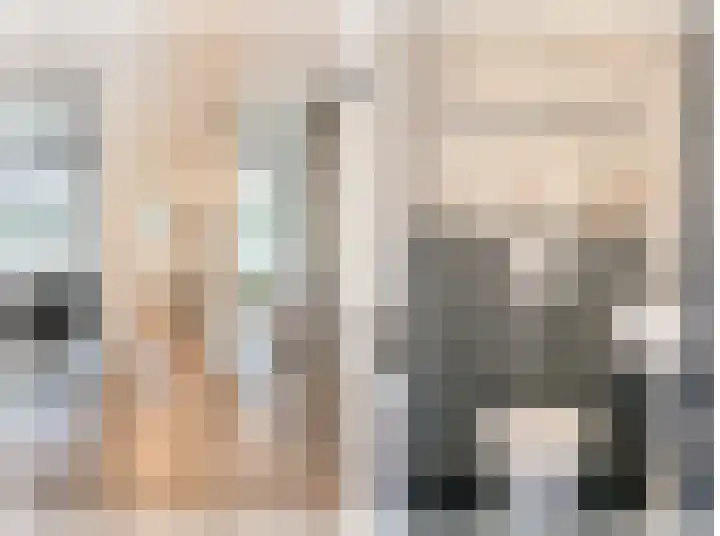 Damstraat 30 Spijkenisse thumbnail 18