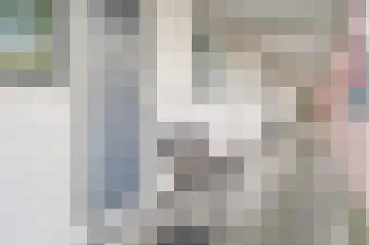 Damstraat 30 Spijkenisse thumbnail 8