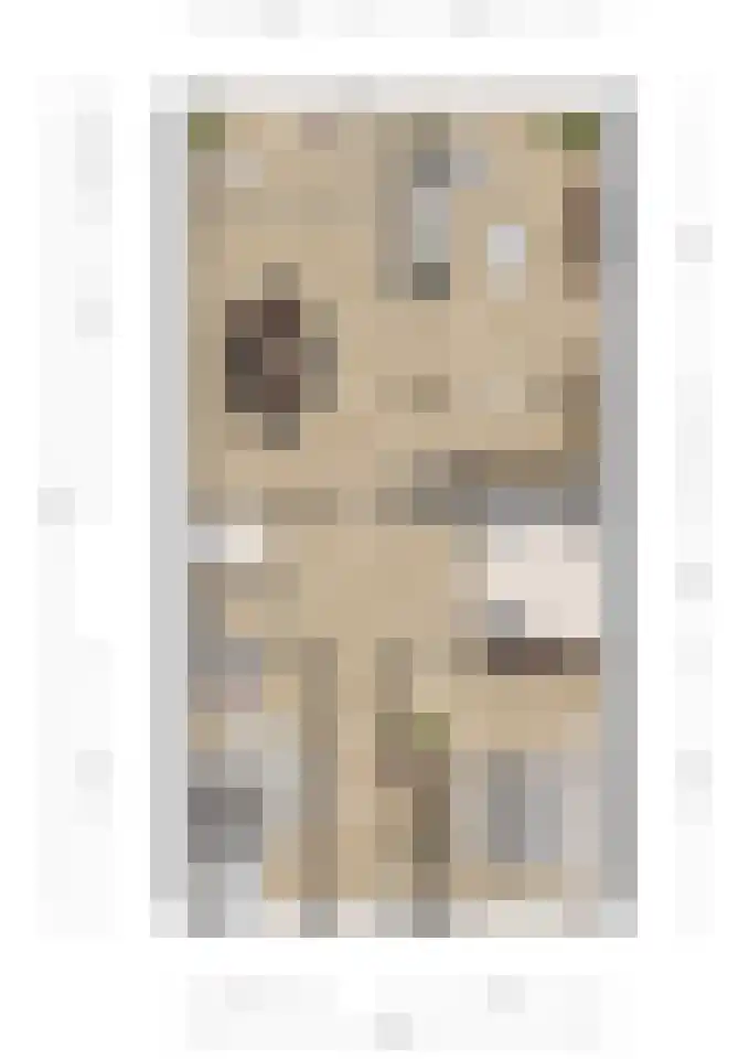 Damstraat 30 Spijkenisse thumbnail 9