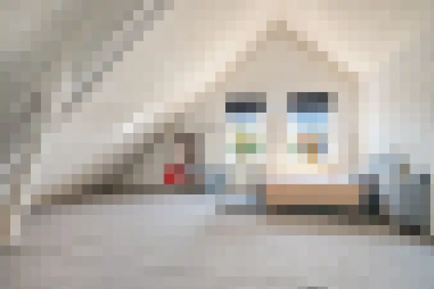 Damstraat 38 Hardinxveld-Giessendam thumbnail 29