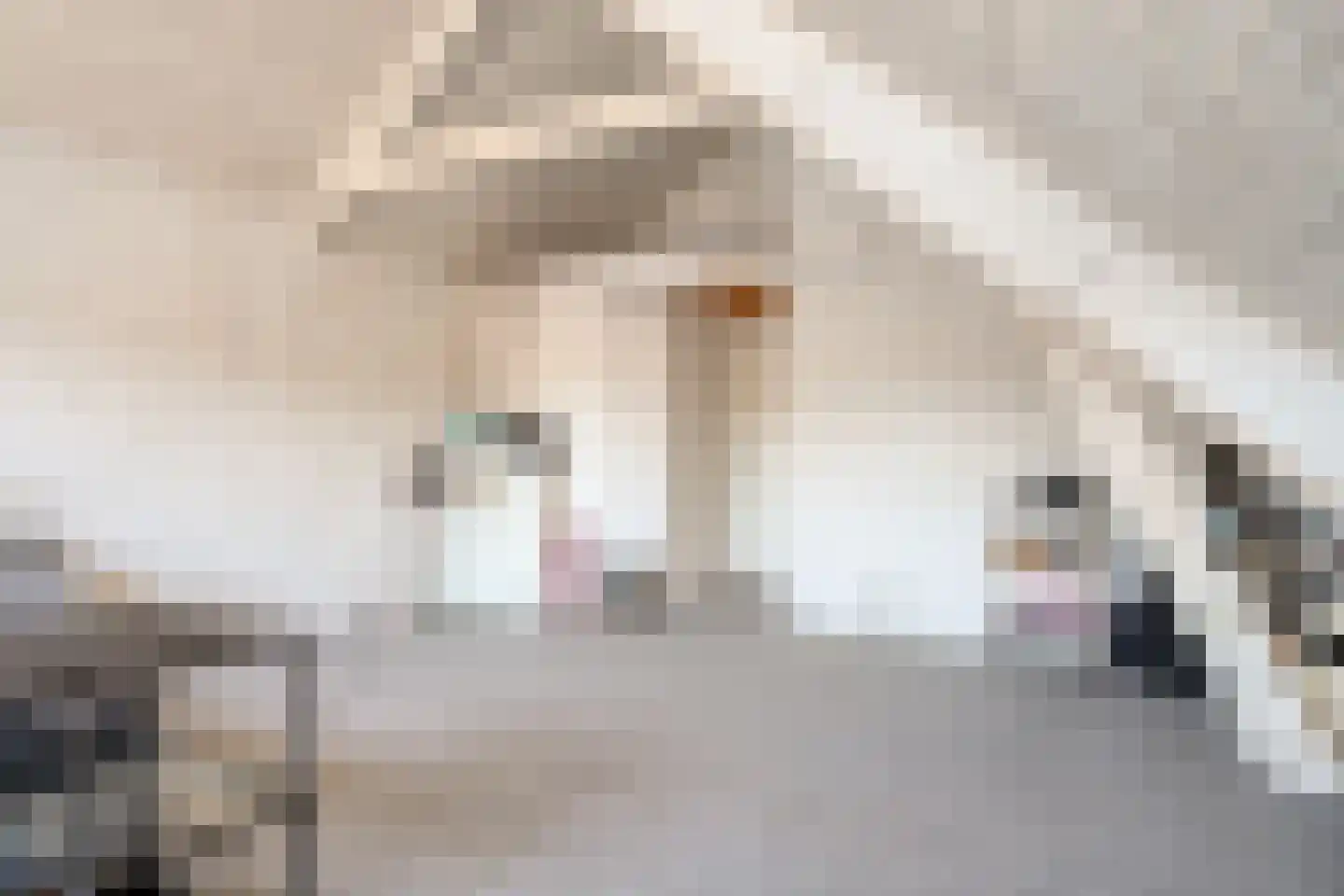 Damstraat 38 Hardinxveld-Giessendam thumbnail 30