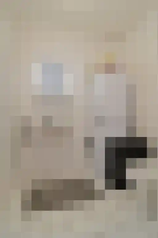 Damstraat 38 Tiel thumbnail 11