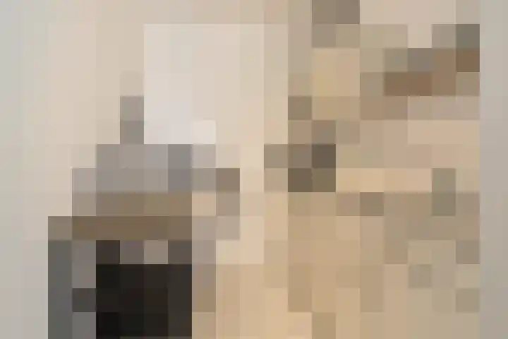 Damstraat 38 Tiel thumbnail 7