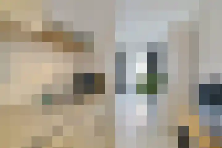 Damstraat 38 Tiel thumbnail 8