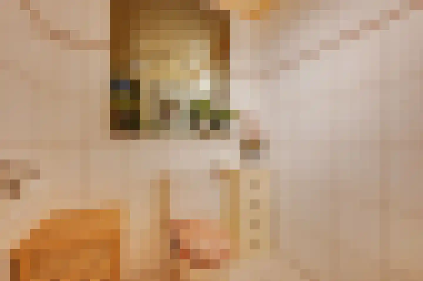 Damstraat 39 Yerseke thumbnail 13