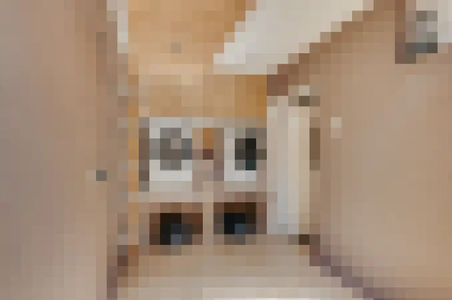 Damstraat 39 Yerseke thumbnail 20