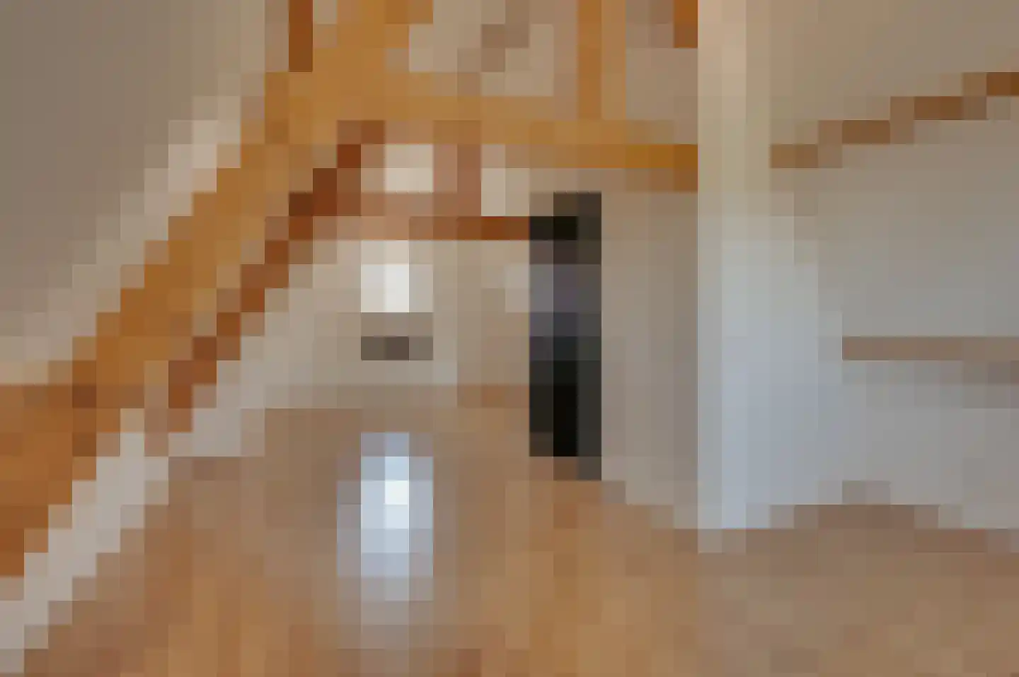 Damstraat 39 Yerseke thumbnail 32
