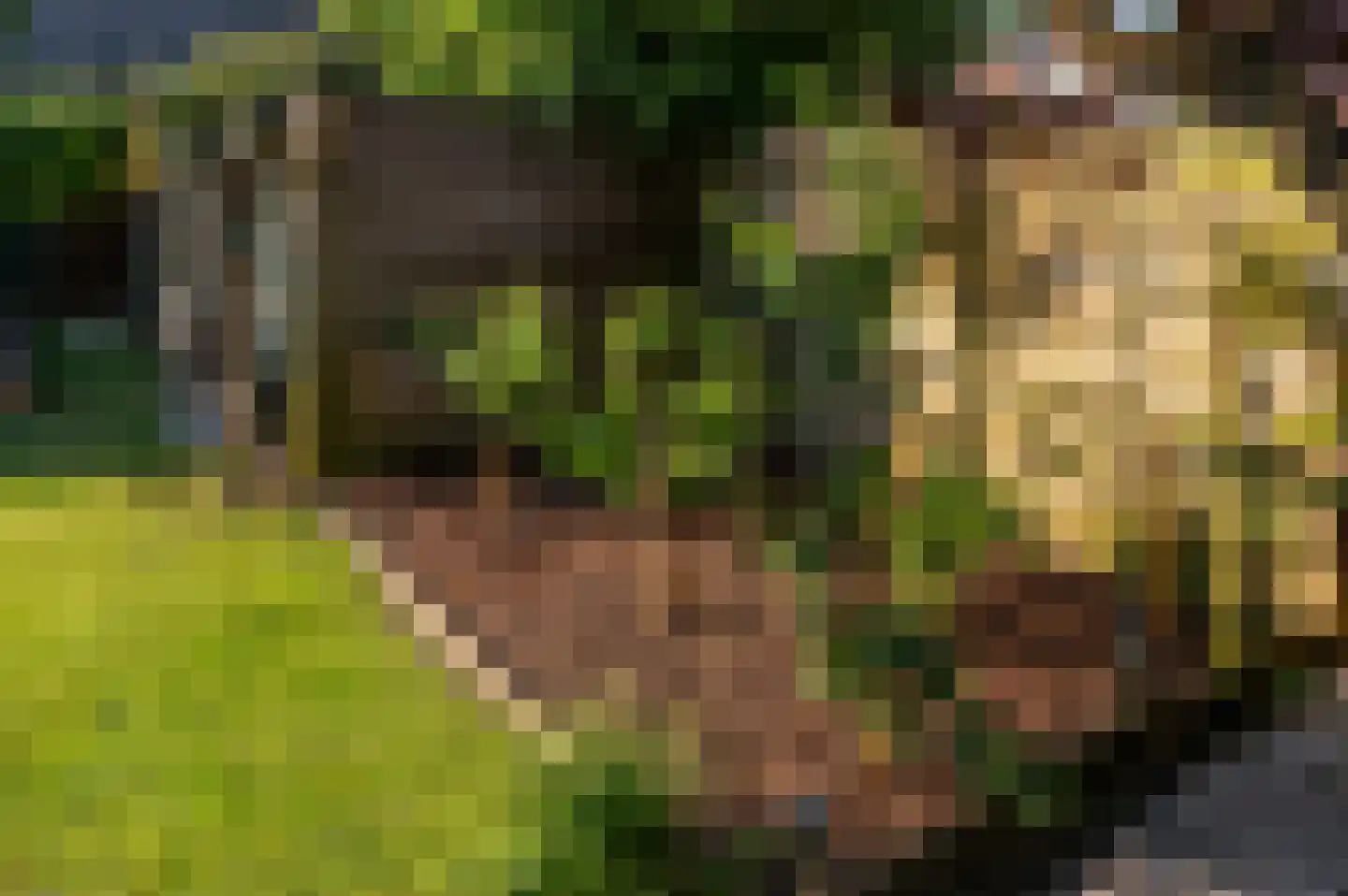 Damstraat 39 Yerseke thumbnail 41