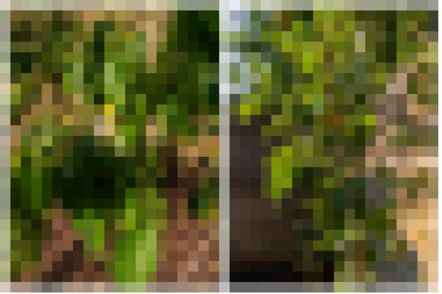Damstraat 39 Yerseke thumbnail 42