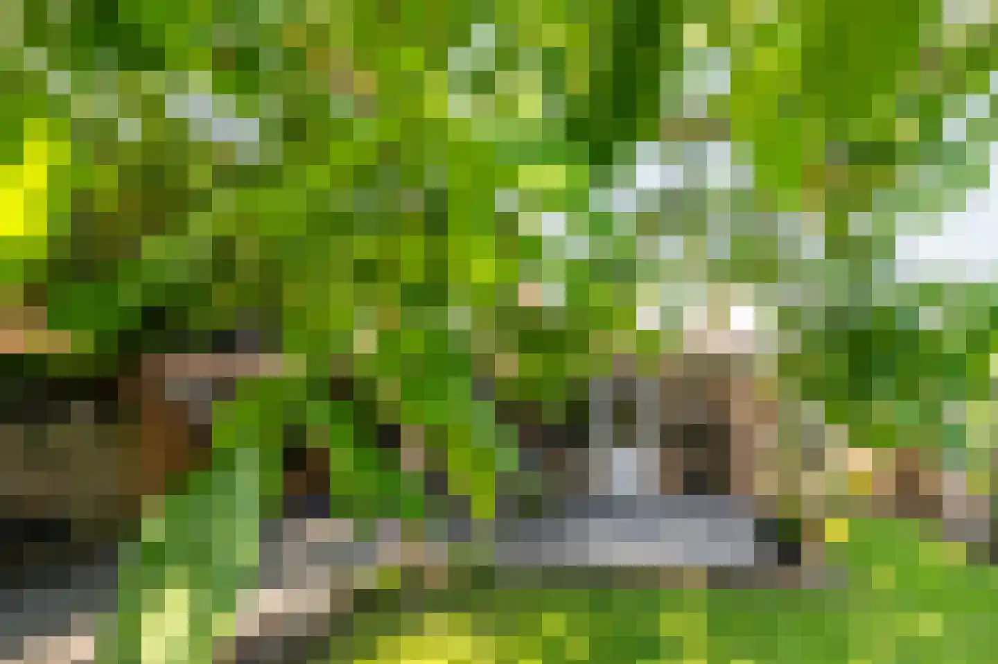Damstraat 39 Yerseke thumbnail 48