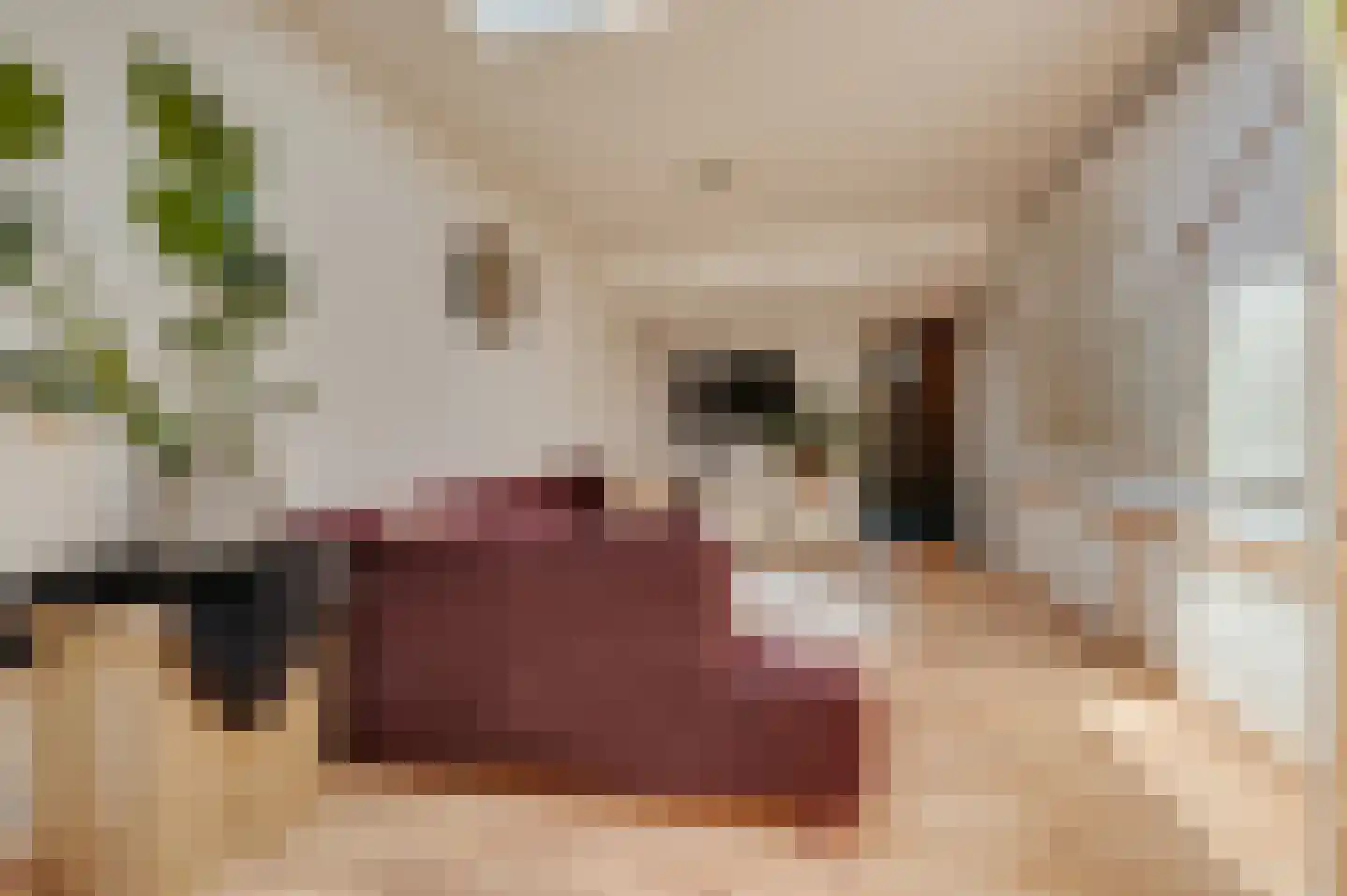 Damstraat 39 Yerseke thumbnail 56
