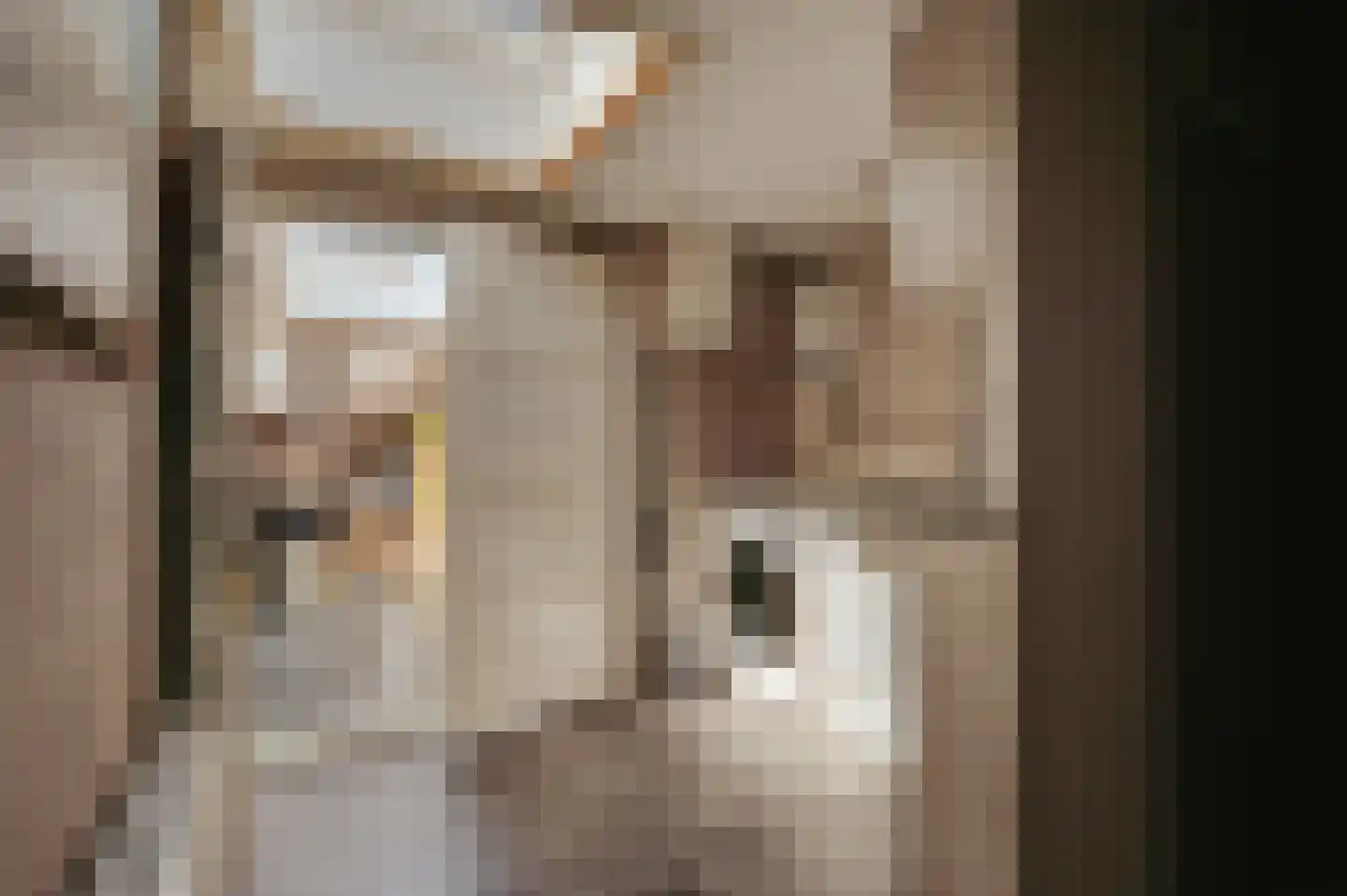 Damstraat 39 Yerseke thumbnail 67