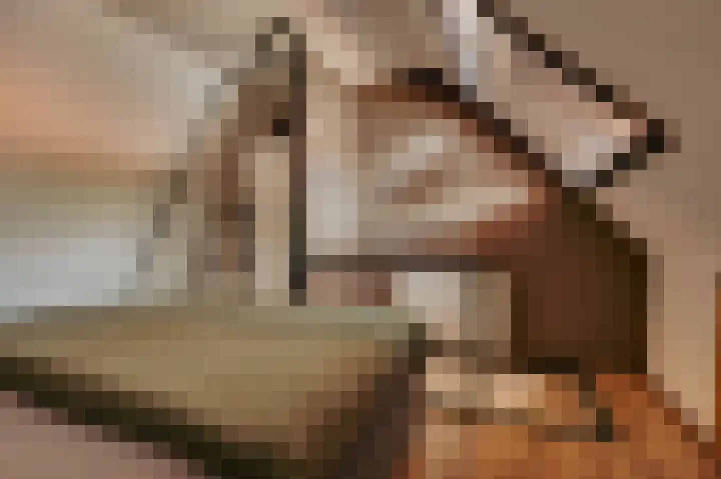 Damstraat 39 Yerseke thumbnail 72