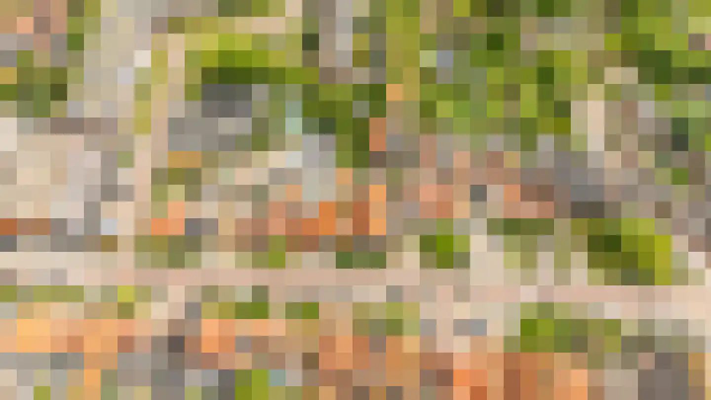 Damstraat 39 Yerseke thumbnail 73