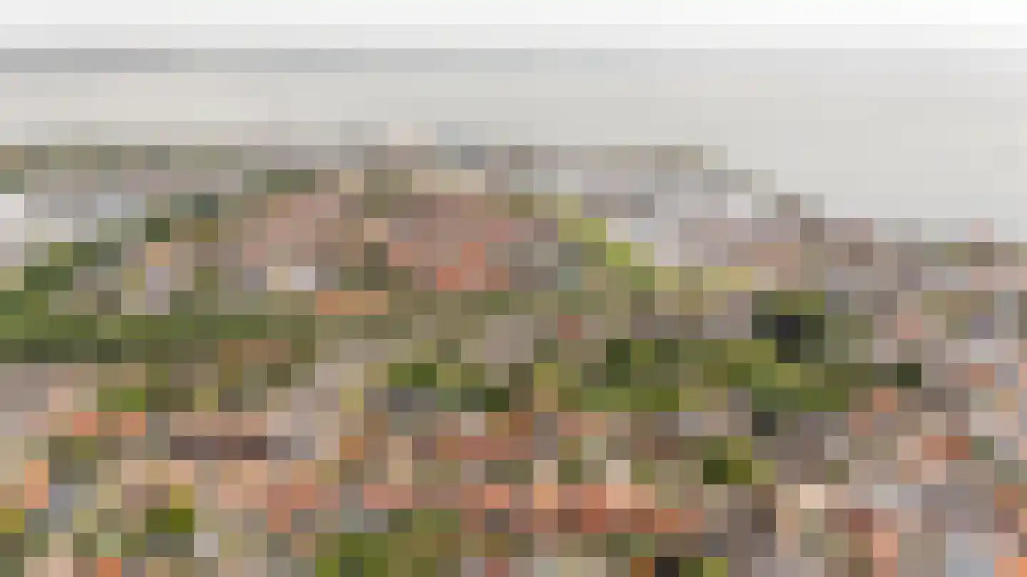 Damstraat 39 Yerseke thumbnail 74