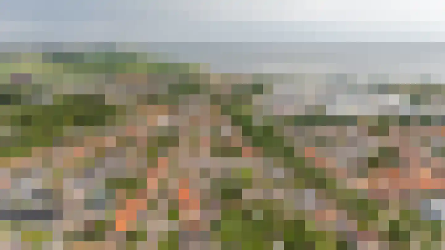 Damstraat 39 Yerseke thumbnail 75
