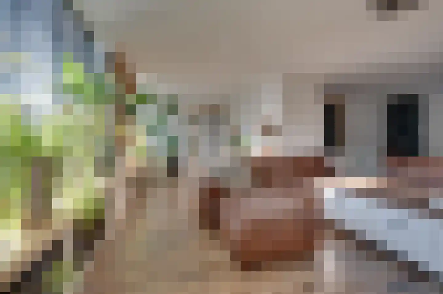 Damstraat 39 Yerseke thumbnail 8