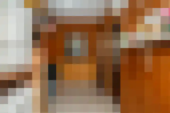 Damstraat 4 Hardinxveld-Giessendam thumbnail 26
