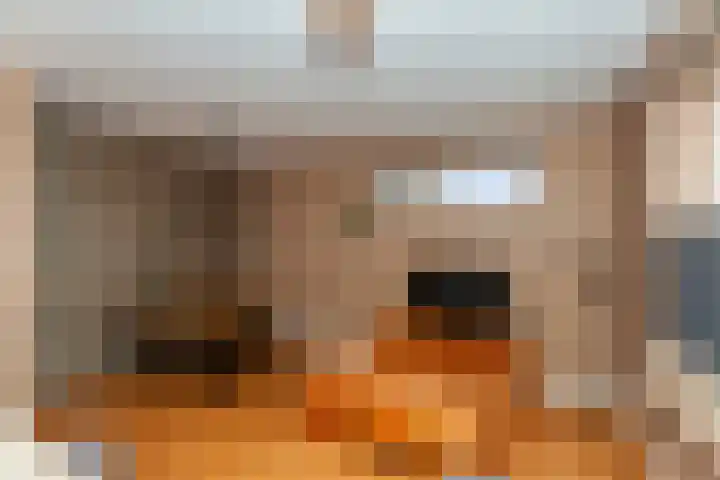 Damstraat 4 Hardinxveld-Giessendam thumbnail 5