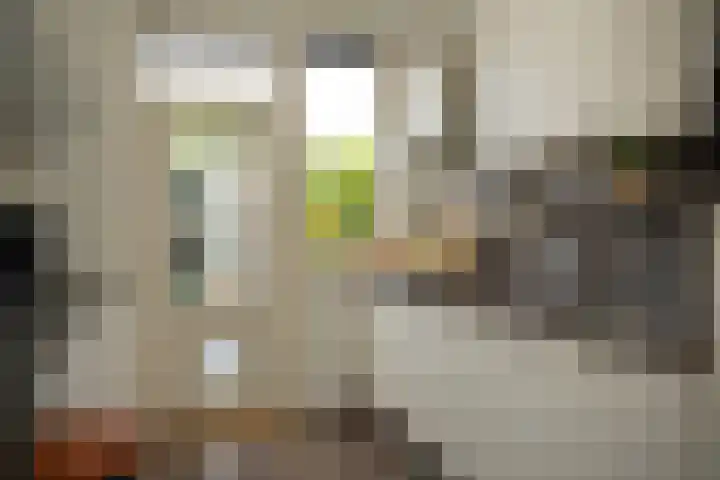 Damstraat 4 Schoondijke thumbnail 10