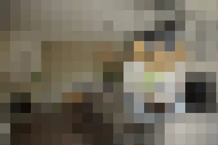 Damstraat 4 Schoondijke thumbnail 12