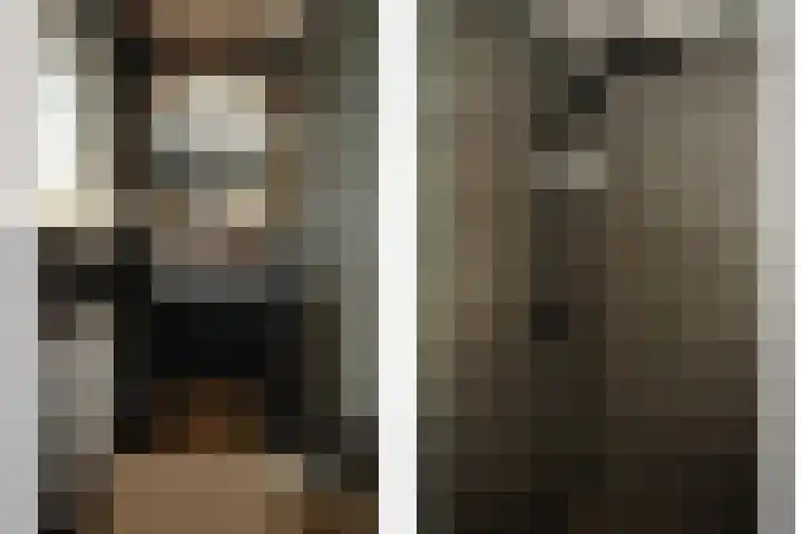 Damstraat 4 Schoondijke thumbnail 17