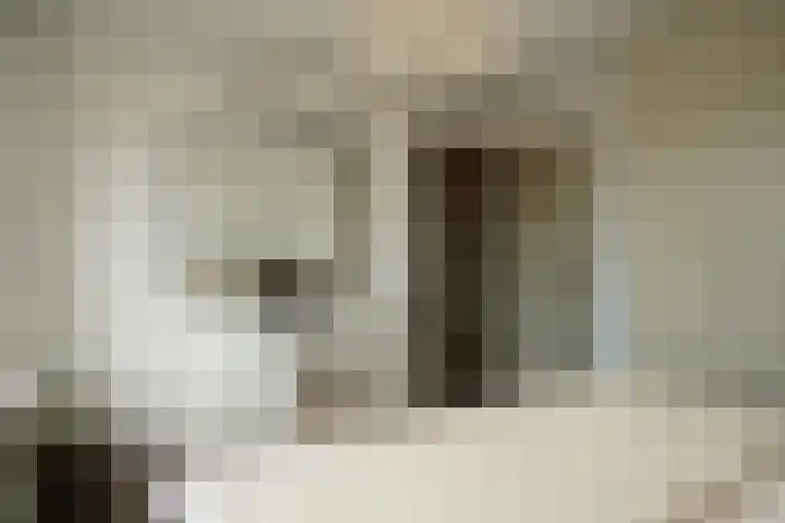 Damstraat 4 Schoondijke thumbnail 19