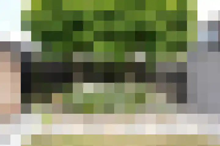 Damstraat 4 Schoondijke thumbnail 28