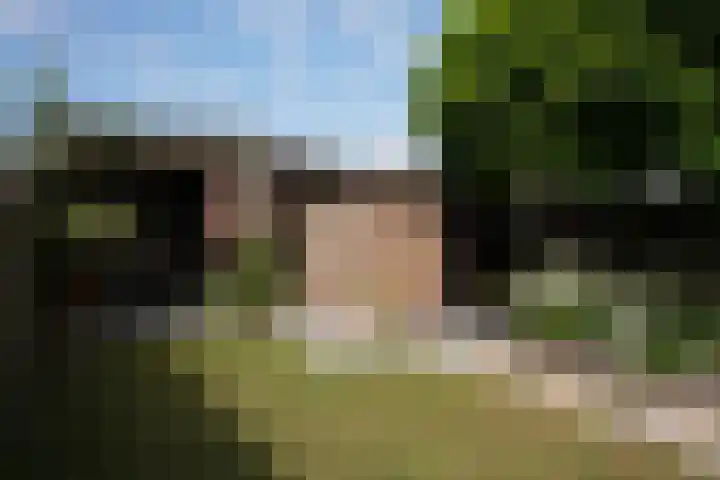 Damstraat 4 Schoondijke thumbnail 29