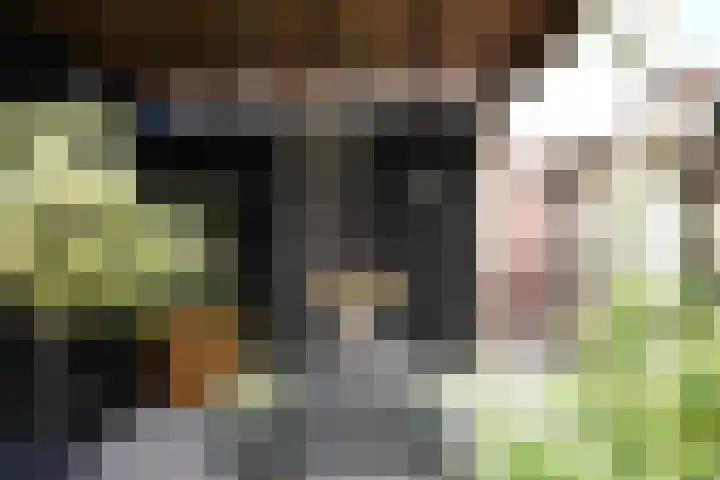 Damstraat 4 Schoondijke thumbnail 31
