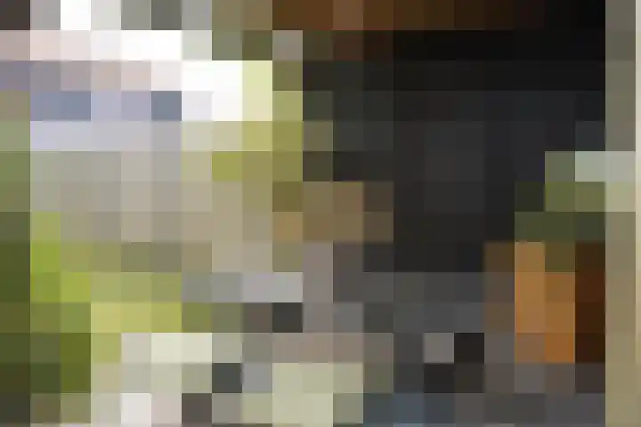 Damstraat 4 Schoondijke thumbnail 32