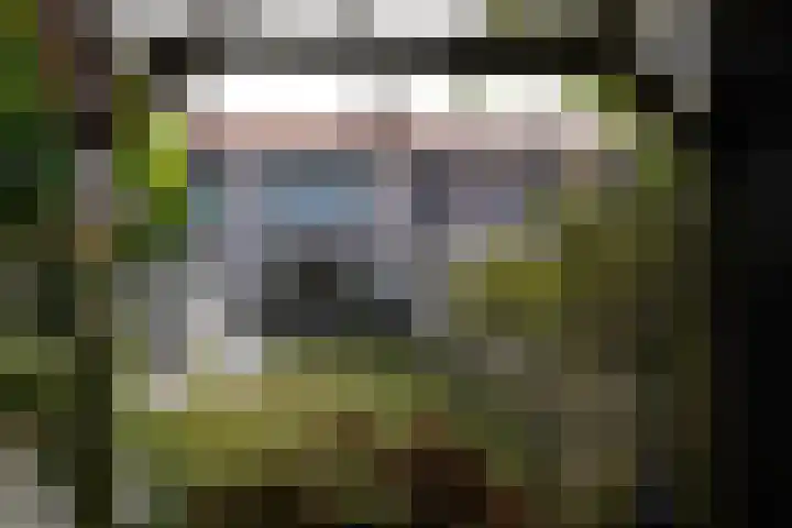 Damstraat 4 Schoondijke thumbnail 33
