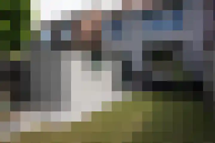 Damstraat 4 Schoondijke thumbnail 34