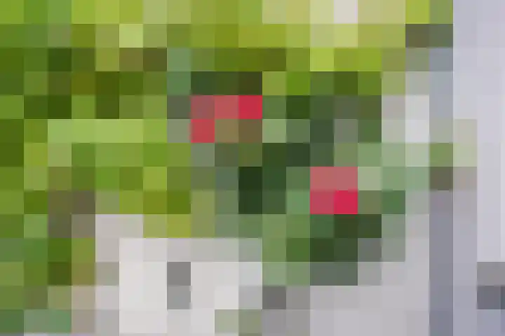 Damstraat 4 Schoondijke thumbnail 35