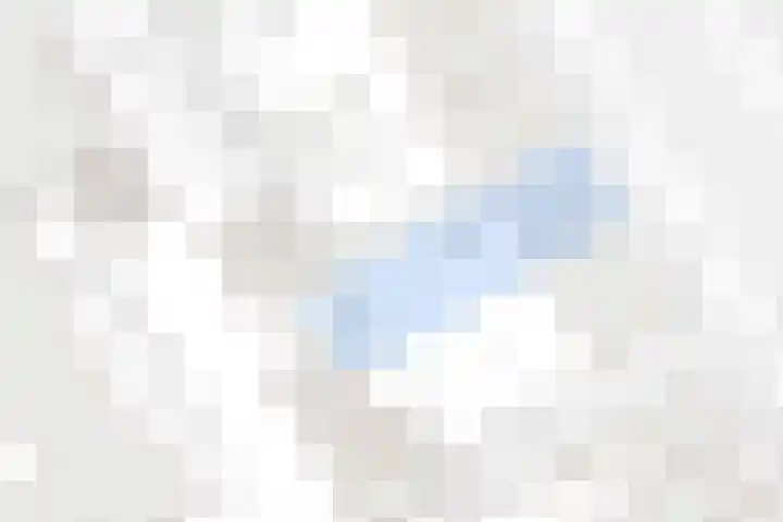 Damstraat 4 Schoondijke thumbnail 39