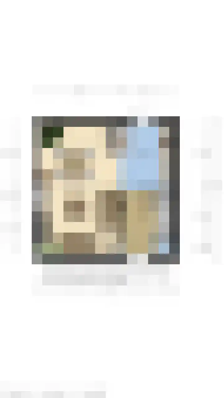 Damstraat 4 Schoondijke thumbnail 40
