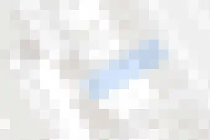 Damstraat 4 Schoondijke thumbnail 42