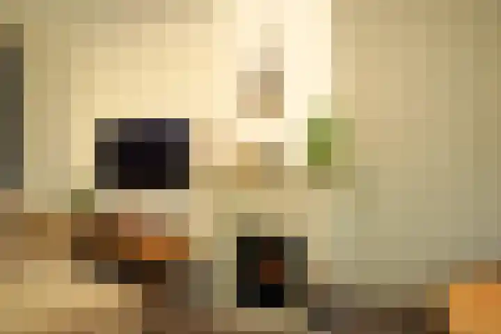 Damstraat 4 Schoondijke thumbnail 6