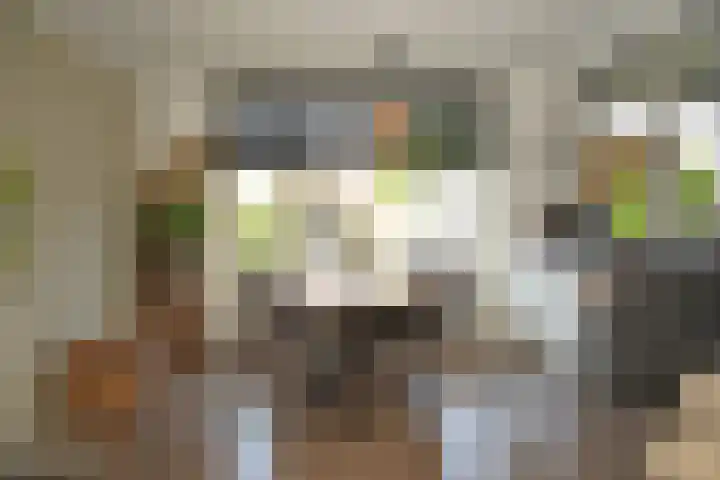 Damstraat 4 Schoondijke thumbnail 7