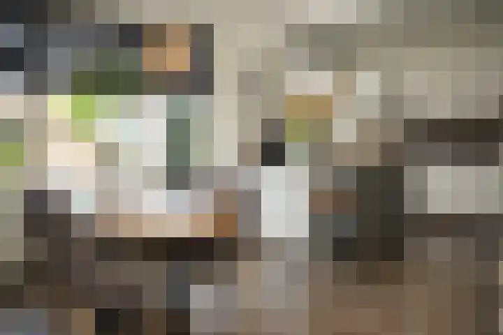Damstraat 4 Schoondijke thumbnail 8