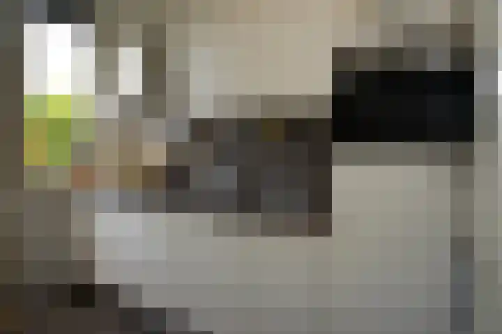 Damstraat 4 Schoondijke thumbnail 9