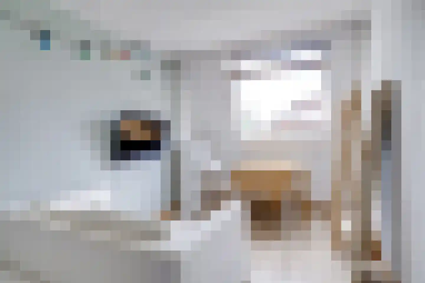 Damstraat 40 BS Utrecht thumbnail 19