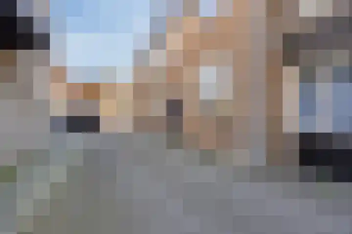 Damstraat 42 A Hardinxveld-Giessendam thumbnail 33