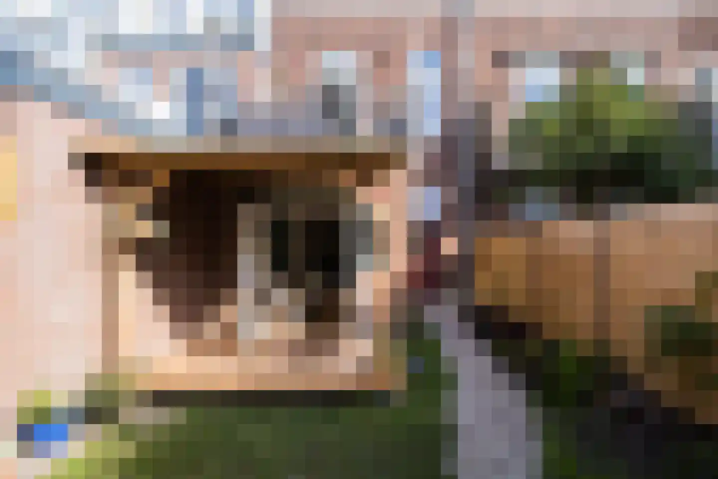 Damstraat 42 Utrecht thumbnail 39