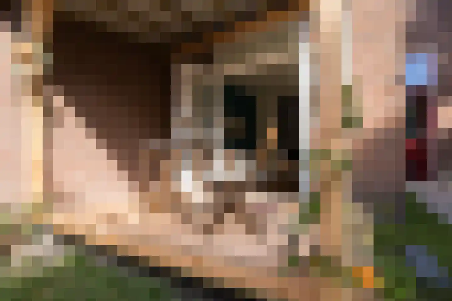 Damstraat 42 Utrecht thumbnail 40