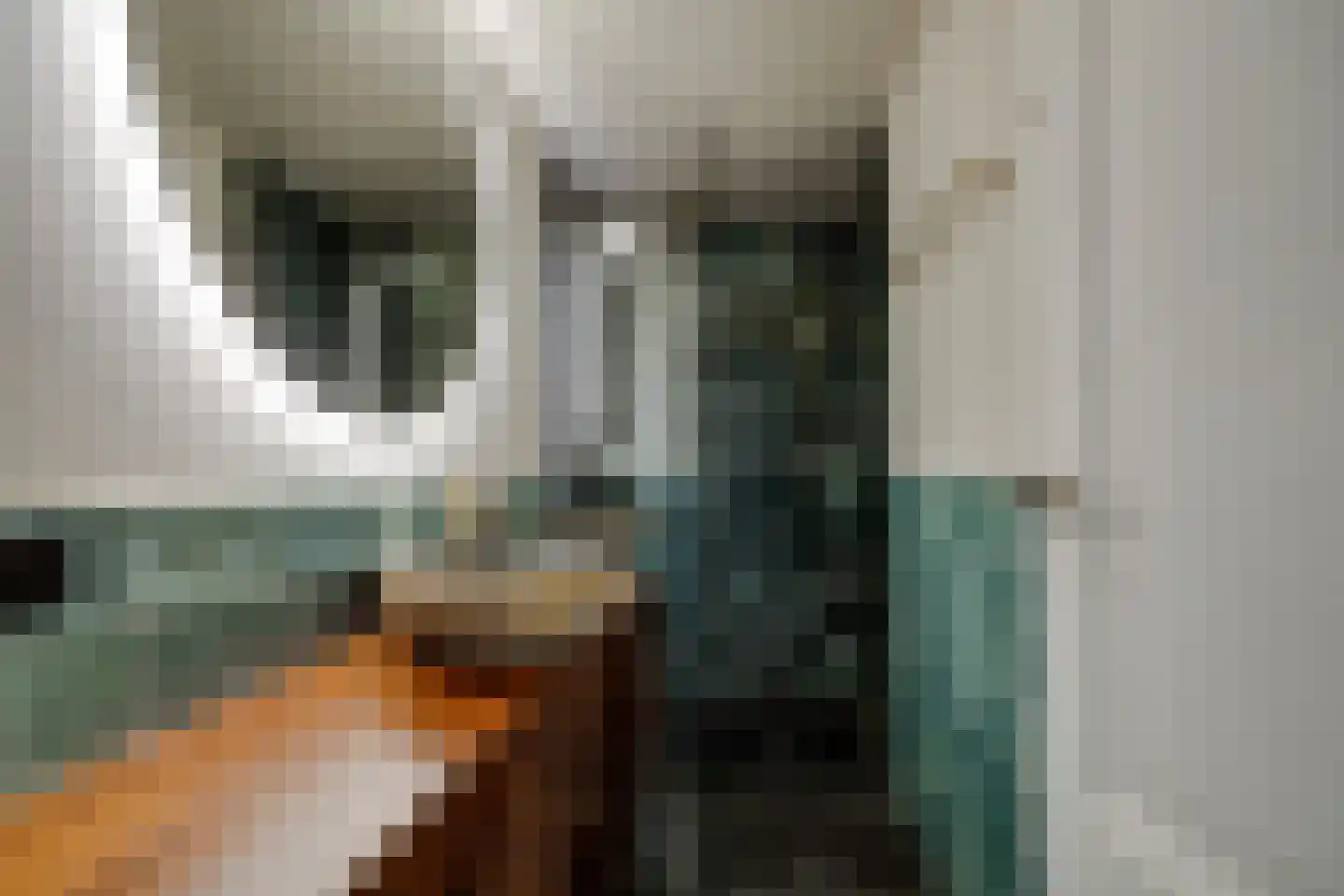 Damstraat 42 Utrecht thumbnail 57