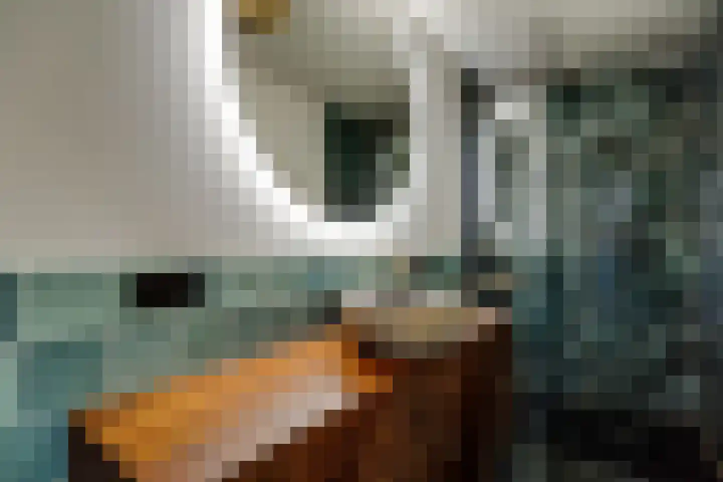 Damstraat 42 Utrecht thumbnail 58