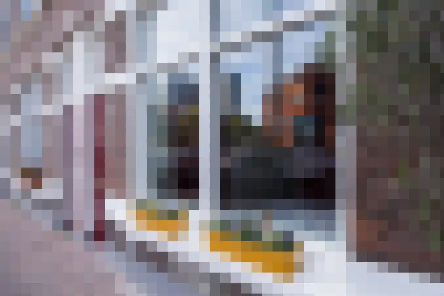 Damstraat 42 Utrecht thumbnail 65